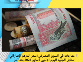 💰 مفاجآت في السوق المصرفي! سعر الدرهم الإماراتي مقابل الجنيه اليوم الإثنين 5 مايو 2025 بعد آخر تحديث 🔄