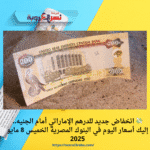 💸 انخفاض جديد للدرهم الإماراتي أمام الجنيه.. إليك أسعار اليوم في البنوك المصرية الخميس 8 مايو 2025