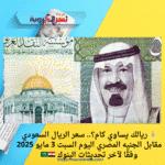 💰 ريالك يساوي كام؟.. سعر الريال السعودي مقابل الجنيه المصري اليوم السبت 3 مايو 2025