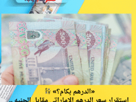 💱 «الدرهم بكام؟».. استقرار سعر الدرهم الإماراتي مقابل الجنيه اليوم الجمعة 2 مايو 2025