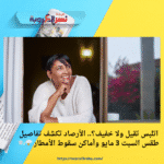 اتلبس تقيل ولا خفيف؟.. الأرصاد تكشف تفاصيل طقس السبت 3 مايو وأماكن سقوط الأمطار ⛈️🌬️