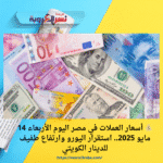 💰 أسعار العملات في مصر اليوم الأربعاء 14 مايو 2025.. استقرار اليورو وارتفاع طفيف للدينار الكويتي