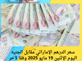 سعر الدرهم الإماراتي مقابل الجنيه المصري اليوم الإثنين 19 مايو 2025.. استقرار في مؤشرات الصرف