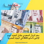 سعر الريال السعودي مقابل الجنيه اليوم الإثنين 5 مايو 2025 في البنوك المصرية