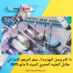 💱 كام وصل النهارده؟.. سعر الدرهم الإماراتي مقابل الجنيه المصري السبت 3 مايو 2025