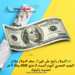 💵 الدولار رايح على فين؟.. سعر الدولار مقابل الجنيه المصري اليوم السبت 3 مايو 2025 وفقًا لآخر تحديث بالبنوك 🇺🇸🇪🇬