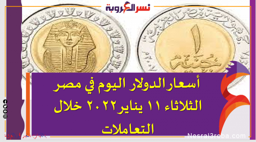 أسعار الدولار اليوم في مصر الثلاثاء 11 يناير 2022 خلال التعاملات