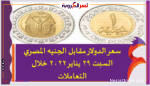 سعر الدولار اليوم في مصر السبت 29 يناير 2022