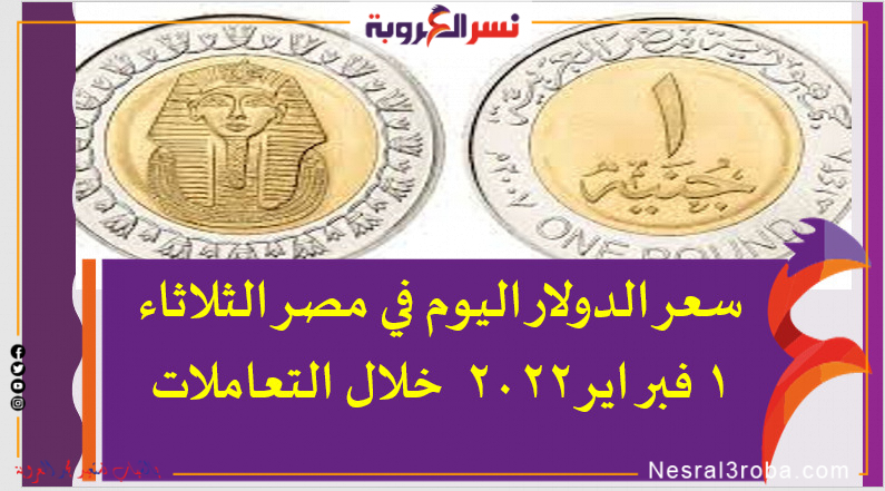 سعر الدولار اليوم في مصر الثلاثاء 1 فبراير 2022 خلال التعاملات