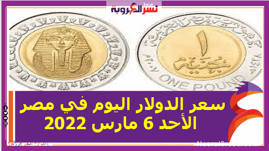 سعر الدولار اليوم في مصر الأحد 6 مارس 2022 خلال التعاملات
