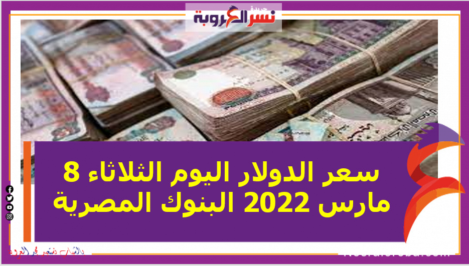 سعر الدولار اليوم الثلاثاء 8 مارس 2022 البنوك المصرية خلال التعاملات