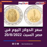 سعر الدولار في مصر السبت 20 أغسطس 2022.. بالبنك المركزي وشركات الصرافة.