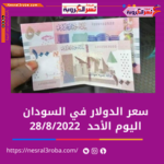 الدولار في السودان الأحد 28 أغسطس 2022.. دى البنك المركزي خلال تداولات