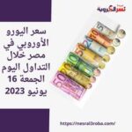 سعر اليورو الأوروبي في مصر خلال التداول اليوم الجمعة 16 يونيو 2023