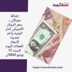 الأن... سعر الدولار الأمريكى أمام الجنيه وآخر تحديث لأسعار العملات اليوم السبت 17 يونيو 2023