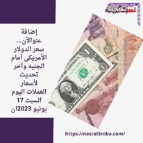 الأن... سعر الدولار الأمريكى أمام الجنيه وآخر تحديث لأسعار العملات اليوم السبت 17 يونيو 2023