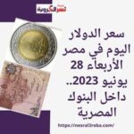 سعر الدولار اليوم في مصر الأربعاء 28 يونيو 2023.. داخل البنوك المصرية