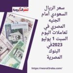 سعر الريال السعودي أمام الجنيه المصري في تعاملات اليوم السبت 1 يوليو 2023في البنوك المصرية