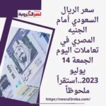 سعر الريال السعودي أمام الجنيه المصري في تعاملات اليوم الجمعة 14 يوليو 2023..استقراراً ملحوظاً