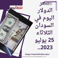 أسعار العملات في السودان اليوم الثلاثاء 25 يوليو 2023.. داخل شركات الصرافة.