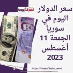 سعر الدولار اليوم في سوريا الجمعة 11 أغسطس 2023..هوت الليرة السورية مقابل العملة الخضراء