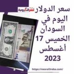 أسعار العملات في السودان اليوم الخميس 17 أغسطس 2023.. لدى البنوك والصرافات