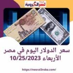 سعر الدولار اليوم في مصر الأربعاء 25 أكتوبر 2023.. داخل السوق الرسمية