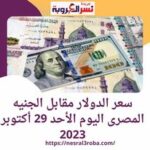 سعر الدولار مقابل الجنيه المصرى اليوم الأحد 29 أكتوبر 2023 داخل البنوك