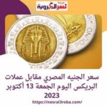 سعر الجنيه المصري مقابل عملات البريكس اليوم الجمعة 13 أكتوبر 2023