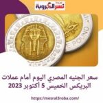 سعر الجنيه المصري اليوم أمام عملات البريكس الخميس 5 أكتوبر 2023