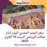 سعر الجنيه المصري اليوم أمام عملات البريكس السبت 14 أكتوبر 2023