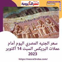 سعر الجنيه المصري اليوم أمام عملات البريكس السبت 14 أكتوبر 2023