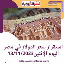 استقرار سعر الدولار في مصر اليوم الإثنين13/11/2023 أمام الجنيه