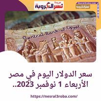 سعر الدولار اليوم في مصر الأربعاء 1 نوفمبر 2023.. مقابل الجنيه