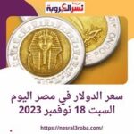 سعر العملة الخضراء اليوم في مصر السبت 18 نوفمبر 2023.. أرتفاع داخل السوق السوداء