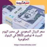 سعر الريال السعودي في مصر اليوم السبت 4 نوفمبر 2023 في البنوك الحكومية