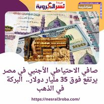 صافي الاحتياطي الأجنبي في مصر يرتفع فوق 35 مليار دولار.. البركة في الذهب