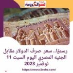 رسميًا.. سعر صرف الدولار مقابل الجنيه المصري اليوم السبت 11 نوفمبر 2023