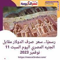 رسميًا.. سعر صرف الدولار مقابل الجنيه المصري اليوم السبت 11 نوفمبر 2023