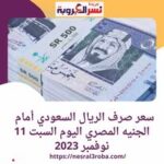 سعر صرف الريال السعودي أمام الجنيه المصري اليوم السبت 11 نوفمبر 2023