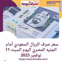 سعر صرف الريال السعودي أمام الجنيه المصري اليوم السبت 11 نوفمبر 2023