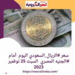 سعر #الريال_السعودي اليوم أمام #الجنيه المصري 25 نوفمبر 2023