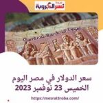 حافظ سعر صرف عملة الدولار الأمريكى اليوم في مصر أمام الجنيه، فيما تجددت توقعات تراجع قيمة الجنيه خلال النصف الأول من العام المقبل 2024.