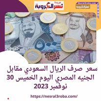 سعر صرف الريال السعودي مقابل الجنيه المصري اليوم الخميس 30 نوفمبر 2023