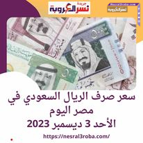 سعر صرف الريال السعودي في مصر اليوم.. الأحد 3 ديسمبر 2023 في البنوك