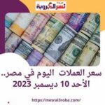 أسعار العملات العربية والأجنبية داخل مصر.. بكورة اليوم الأحد 10 ديسمبر 2023