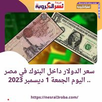 سعر الدولار داخل البنوك في مصر .. اليوم الجمعة 1 ديسمبر 2023