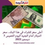 أعلى سعر للشراء.. للدولار في مصر مقابل الجنيه اليوم الخميس 7 ديسمبر 2023 داخل البنوك