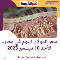 سعر الدولار اليوم في مصر.. الأحد 10 ديسمبر 2023 داخل البنوك