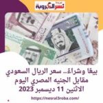 سعر الريال السعودي أمام الجنيه المصري بكورة اليوم الاثنين 11 ديسمبر 2023